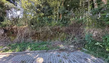 Terreno à venda na Ana Maria Vilela Esmeraldo, Monte Verde, Farroupilha por R$ 165.000
