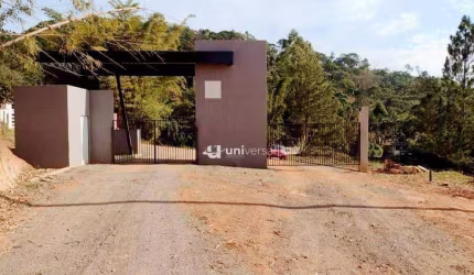 Sítio à venda, 20000 m² por R$ 145.000,00 - Santa Cruz - Juiz de Fora/MG