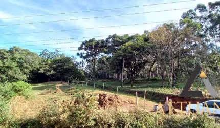 Área urbana no bairro Desvio Rizzo