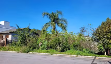 TERRENO - BAIRRO DESVIO RIZZO