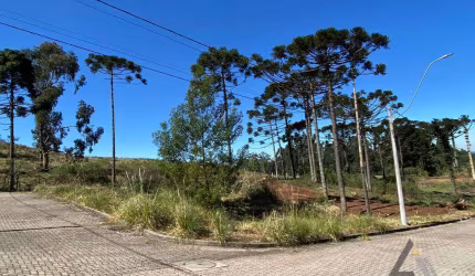 Terreno de esquina em Ana Rech