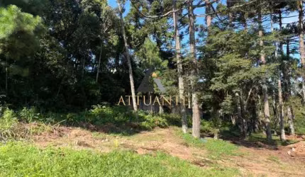 Terreno em Ana Rech/Vila Alpina