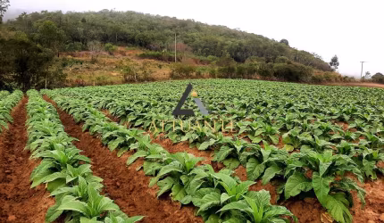 Área rural de 12 hectares em Mariana Pimentel