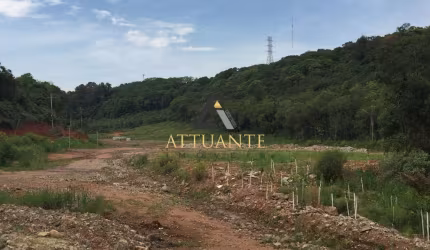 Oportunidade! Terrenos industriais às margens da RS 122