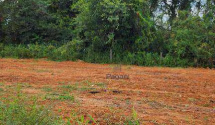 Terreno à venda, 200 m² por R$ 235.000,00 - Pacheco - Palhoça/SC