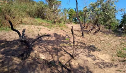 Terreno à venda, 430 m² por R$ 100.000,00 - Vila Constança (Botujuru) - Campo Limpo Paulista/SP