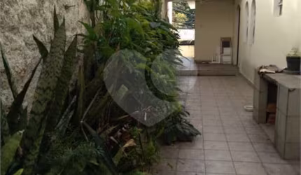 Òtimos  sobrados SantaTteresinha, sendo dois sobrados no mesmo quintal,edicula e garagem,
