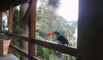 Casa no Jardim Bibi para venda