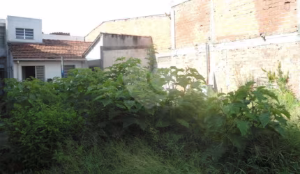 TERRENO PLANO A VENDA NA VILA DIONÍSIA - ENTRE AS AVENIDAS DEP. EMÍLIO CARLOS E ENG. CAETANO ÁLVARES
