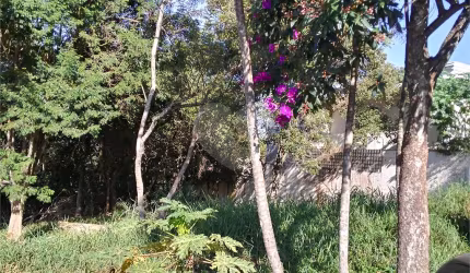 Terreno-São Paulo-TUCURUVI | Ref.: REO495979