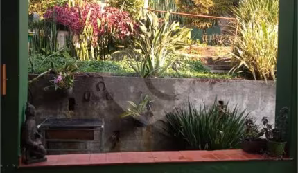 vila albertina - 10 x 30m