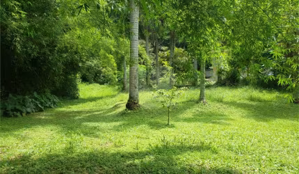 Terreno-São Paulo-HORTO | Ref.: REO566827