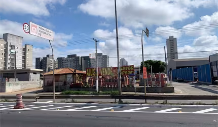 Terreno-São Paulo-Vila Califórnia | Ref.: REO598696