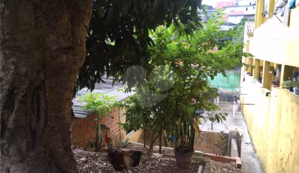 Terreno-São Paulo-LIMÃO | Ref.: REO751947