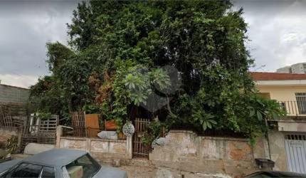 AMPLO TERRENO SA SANTA TERESINHA
