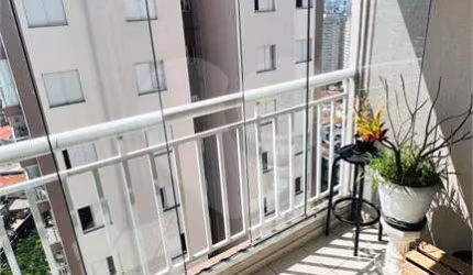 Apartamento com 3 dormitórios em condomínio clube na Vila Guilherme