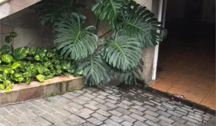 Excelente sobrado à venda com 3 dormitórios, Água Fria, SP.