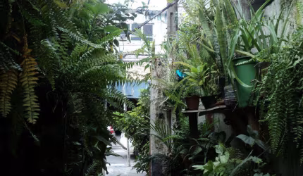 TERRENO A VENDA NO TREMEMBÉ - 200 M2