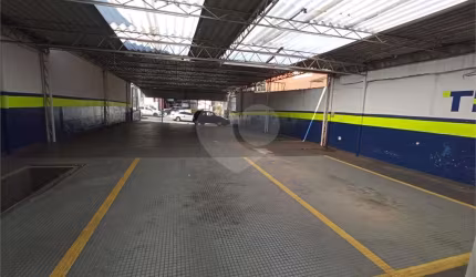 Galpão Comercial Locação- 30 vagas, 3 banheiros, 2 salas- Tucuruvi - São Paulo/SP