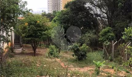 Terreno na Rua Augusto Tolle - Ótimo para investidores
