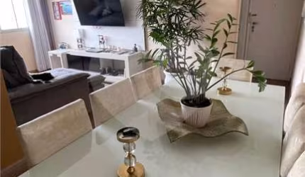 Apartamento para venda na Água Fria
