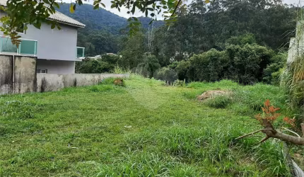 Terreno plano todo nivelado, com árvores devidamente removidas, e com 897 metros quadrados de área