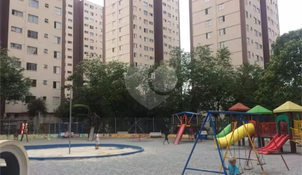 Apartamento a Venda na Pedra Branca