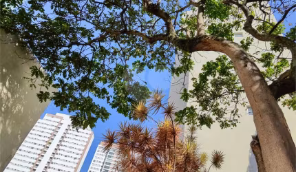 Apartamento no Cambuci (Ed. Condomínio Jardim Tropical)