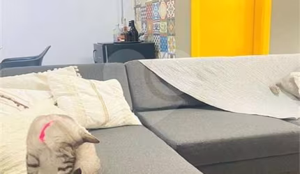**Oportunidade: Sobrado em Condomínio Fechado,