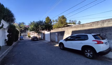 Excelente terreno no jardim floresta com 539 metros na rua alexandrina
