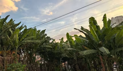 Terreno-São Paulo-CAMPO LIMPO | Ref.: REO968079