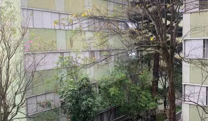 Apartamento a Venda Samambaia III