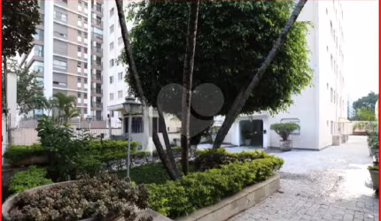 Apartamento-São Paulo-ALTO DA LAPA | Ref.: REO1022453