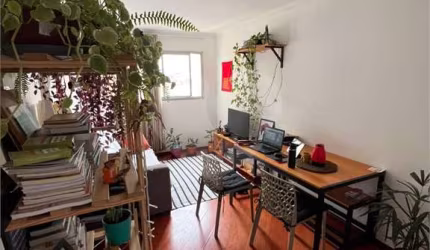 Apartamento no Tucuruvi