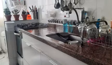 Apartamento-São Paulo-VILA NOVA CACHOEIRINHA | Ref.: REO719559