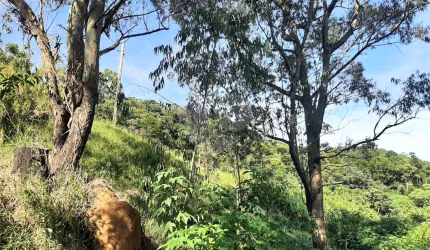 Terreno em Caieira no “Parque Santa Inês' com 297,1m2 de área no início na Serra da Cantareira
