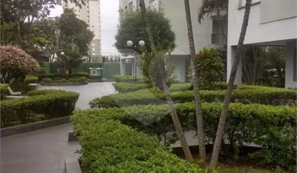 Apartamento para venda Vila Amália