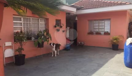 Casa térrea no bairro de Vila Nova Cachoeirinha com 3 dormitórios.