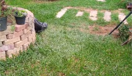 TERRENO PLANO COM ÓTIMA LOCALIZAÇÃO IDEAL PARA CONSTRUTOR