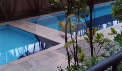 Apartamento-São Paulo-VILA NOVA CACHOEIRINHA | Ref.: REO352678