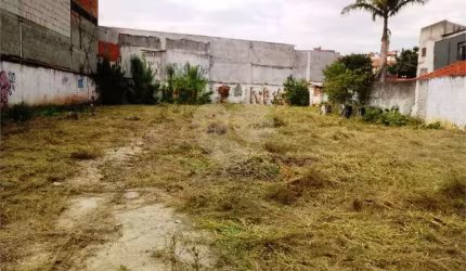 Terreno-São Paulo-LIMÃO | Ref.: REO742114