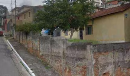 Terreno-São Paulo-LIMÃO | Ref.: REO827716