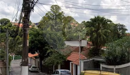 Terreno, raridade!