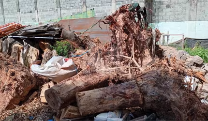 Terreno-São Paulo-LIMÃO | Ref.: REO1067809