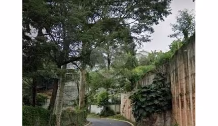 Terreno-São Paulo-TUCURUVI | Ref.: REO1060944