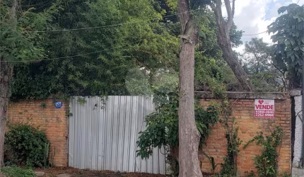 TERRENO PLANO PALMAS