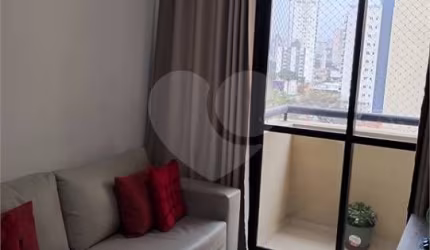 Lindo apartamento Santana