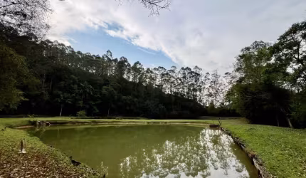 Oportunidade! Vende-se lindo sítio na Serra da Cantareira com 112.000 M².