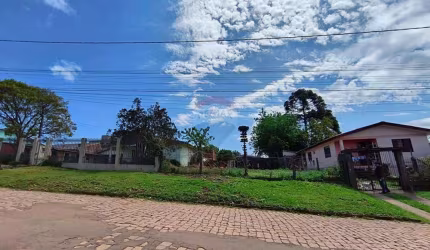 TERRENO LEONARDO ILHA