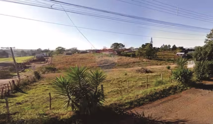 Área de Terras Urbanas no Bairro São Luiz Gonzaga